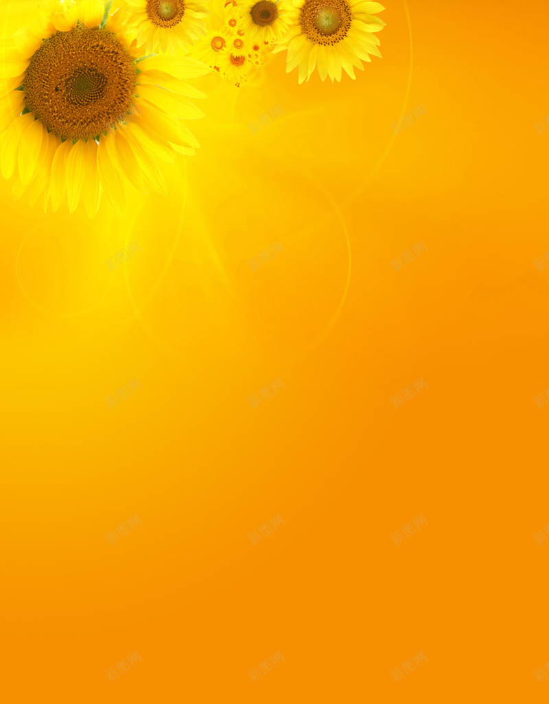 黄色橙色向日葵H5背景jpg设计背景_新图网 https://ixintu.com 向日葵 喜庆 收货 橙色 黄色 H5背景