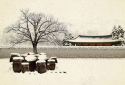 枝头雪城墙下雪背景高清图片