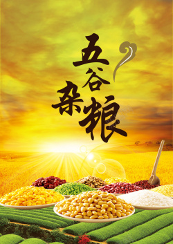 膳食海报黄色麦田五谷杂粮海报背景素材高清图片