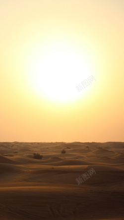 沙漠日落沙漠景观高清图片