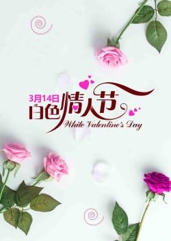 爱延续大气简洁314白色情人节海报高清图片
