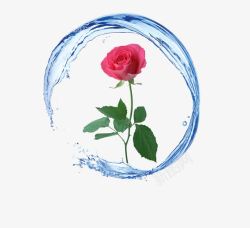 圆形水流玫瑰花水创意图高清图片
