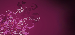 会议指南封面紫色花卉高清图片