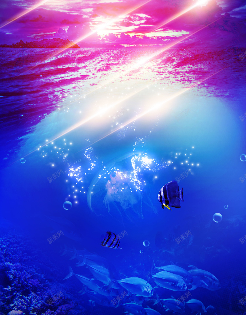 海洋馆水底效果宣传海报背景模板jpg设计背景_新图网 https://ixintu.com 光线 夏日 水底 水泡 海洋 水底效果 海洋馆 宣传海报 背景模板 鱼群 游泳馆