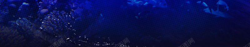 海洋馆水底效果宣传海报背景模板jpg设计背景_新图网 https://ixintu.com 光线 夏日 水底 水泡 海洋 水底效果 海洋馆 宣传海报 背景模板 鱼群 游泳馆