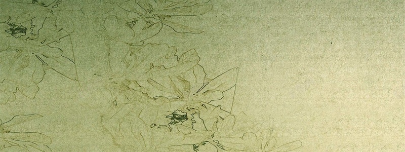 牛皮纸花卉纹理背景背景