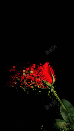 科技感玫瑰科技红玫瑰H5背景高清图片
