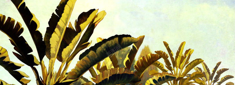 巴蕉树抽象油画背景jpg设计背景_新图网 https://ixintu.com 风光 风景画 田野风景 抽象油画 叶子 巴蕉树 海报banner 卡通 童趣 手绘