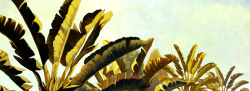 河边田野油画巴蕉树抽象油画背景高清图片