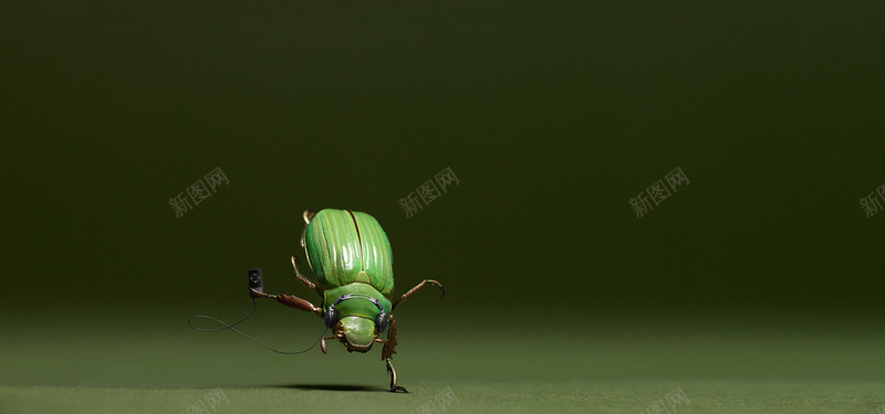 创意耳机广告设计昆虫背景图背景