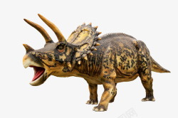 玩具龙一只恐龙玩具透明图高清图片