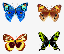 彩色昆虫彩色蝴蝶PNG图片高清图片