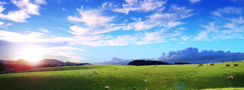 蓝天白云牧场背景背景
