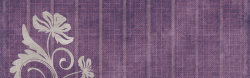 花的叶子花朵紫色纹理背景高清图片