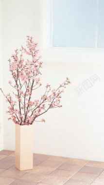 粉色花卉H5背景背景