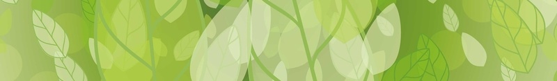 绿色树叶海报背景装饰jpg设计背景_新图网 https://ixintu.com 小清新 树叶 渐变 绿色 边框 海报背景装饰
