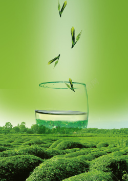 绿茶茶茶汤茶业海报背景素材高清图片