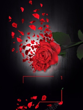 黑色质感花瓣玫瑰花黑色情人节海报背景背景