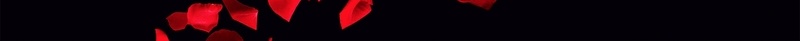黑色质感花瓣玫瑰花黑色情人节海报背景jpg设计背景_新图网 https://ixintu.com 黑色情人节 海报设计 花瓣 质感 黑色 玫瑰花 玫瑰 红色 4月14日