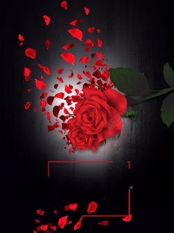 4月14日黑色质感花瓣玫瑰花黑色情人节海报背景高清图片