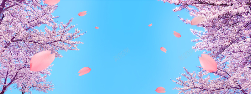 浪漫樱花背景jpg设计背景_新图网 https://ixintu.com 唯美 花瓣 浪漫花朵 樱花淘宝海报 淘宝banner 海报 创意 简约 淘宝海报素材下载 简约创意背景 海报banner 浪漫 梦幻