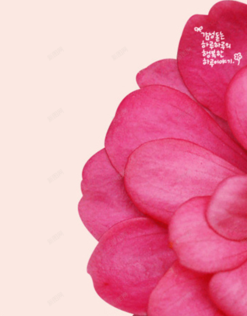 H5app背景jpg设计背景_新图网 https://ixintu.com 粉色 花瓣 花朵 浪漫 梦幻 背景图 H5 app 背景