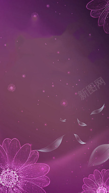 紫色水晶大花H5背景背景