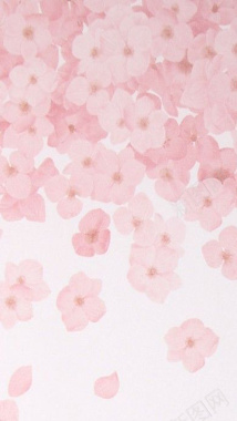 粉红色花瓣H5背景素材背景