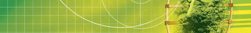 医疗饮食科学营养保健jpg设计背景_新图网 https://ixintu.com 科学实验 绿色背景 营养成分 生物 结构 化学元素表 海报 背景素材