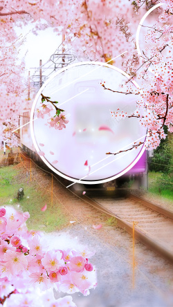粉色动车2017日本最美樱花节H5宣传海报背景高清图片