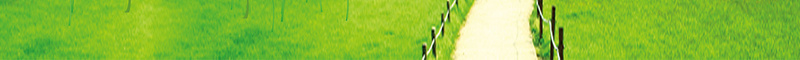 庆祝六一儿童节海报背景素材psd设计背景_新图网 https://ixintu.com 天蓝色底 庆祝六一 绿叶子 蝴蝶 花 庆祝六一艺术字 向日葵 绿草地 栅栏小路 卡通人物 卡通熊 书