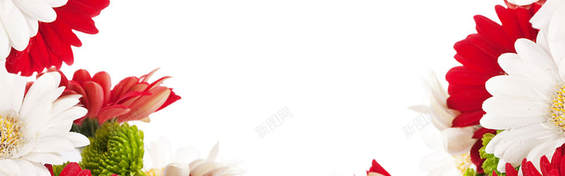 大气花朵几何红白背景jpg设计背景_新图网 https://ixintu.com 大气 文艺 唯美 素材 广告 设计 背景 古典花朵 菊花 红色花朵 白色花朵 花朵 花瓣 花心
