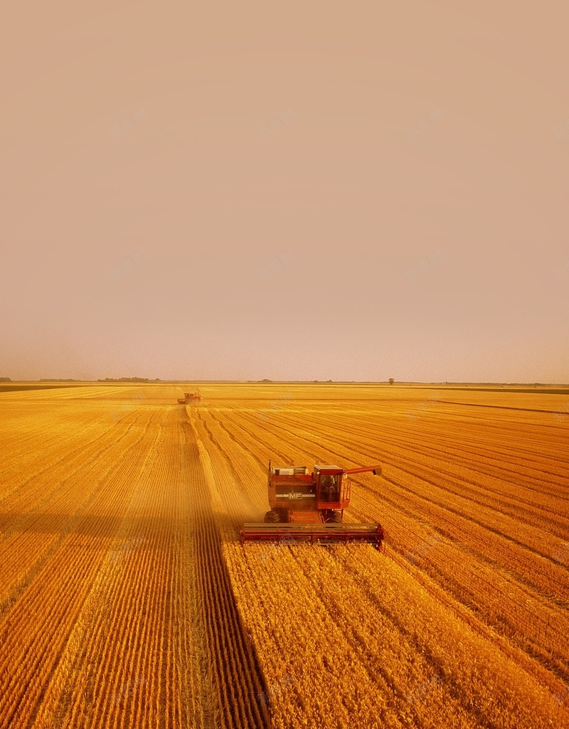 黄色丰收H5背景jpg设计背景_新图网 https://ixintu.com 黄色 小麦 丰收 机器 天空 H5 h5 摄影 风景