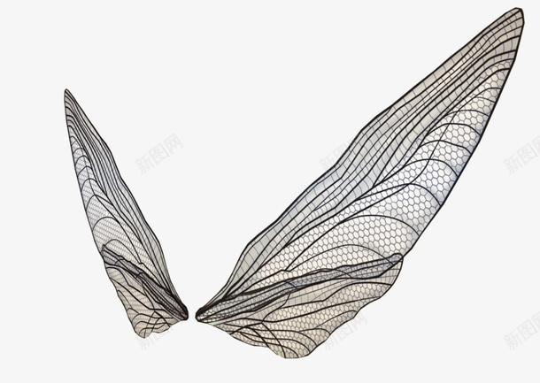 3D透明翅膀png免抠素材_新图网 https://ixintu.com 翅膀 透明 3D 装饰