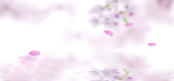 粉色桃花姬包粉色浪漫花瓣海报背景高清图片
