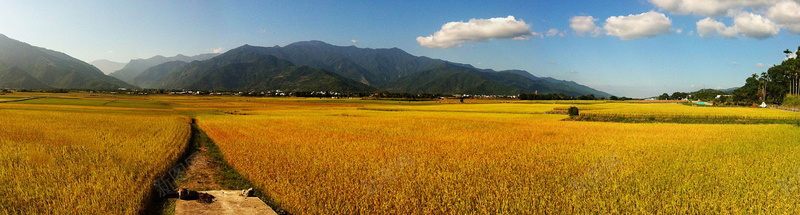 金色麦浪背景jpg设计背景_新图网 https://ixintu.com 海报banner 大气 山峰 金色 麦浪