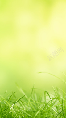 黄色底纹绿草H5背景素材背景