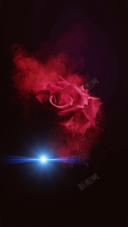 UI设计红黑色黑色红花瓣净水器代理加盟海报背景素材高清图片