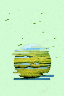 世界湿地日微信绿色简约世界湿地日海报高清图片