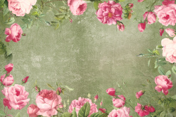 手绘黄玫瑰欧式复古花纹背景高清图片