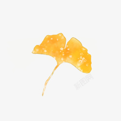 银杏花手绘水彩撒盐银杏花植物元素高清图片