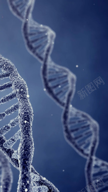 蓝色写实感DNA结构图H5背景元素背景
