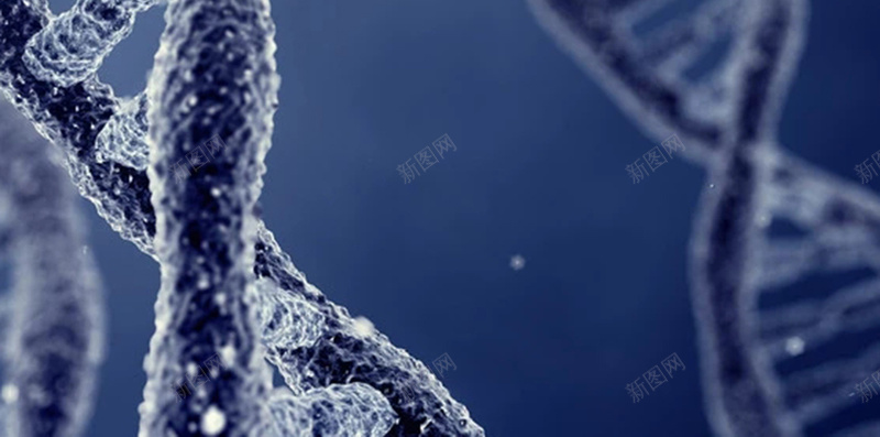 蓝色写实感DNA结构图H5背景元素jpg设计背景_新图网 https://ixintu.com DNA 写实 医学 医学背景 医学背景图片 医生 护士 生物 结构图 蓝色 蓝色背景