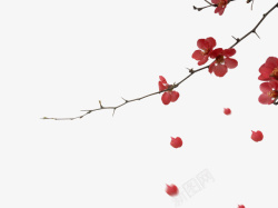 冬天的梅花喜庆复古风格红梅高清图片