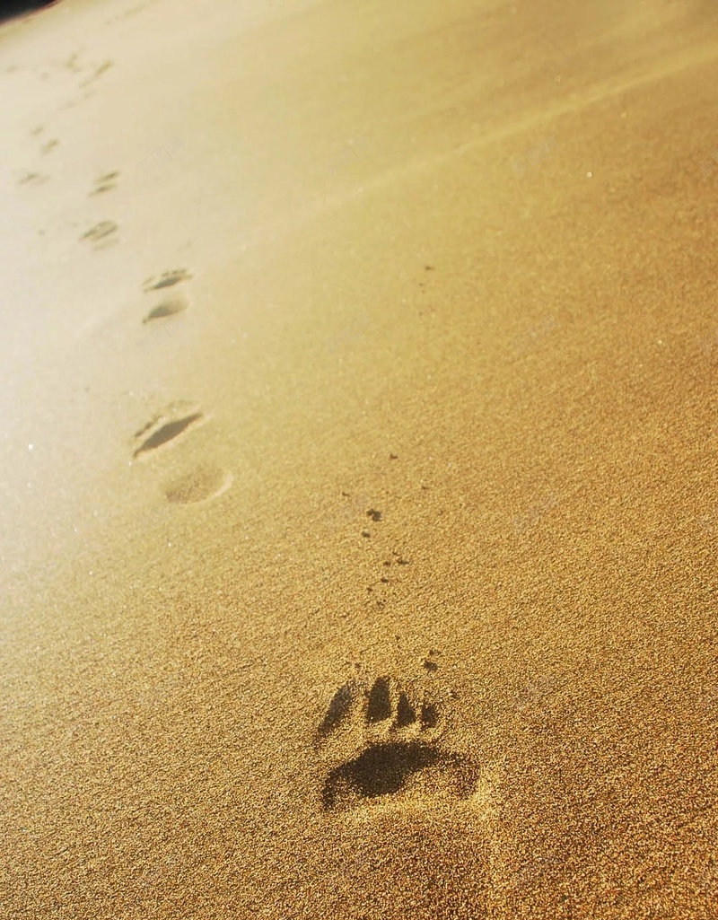 金色沙滩里的脚印H5背景jpg设计背景_新图网 https://ixintu.com 影子 摄影 沙子 沙滩 沙滩上的脚印图片 海边 背景虚化 脚印 金色