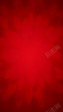 大气简约红色渐变鲜花图案H5背景素材背景
