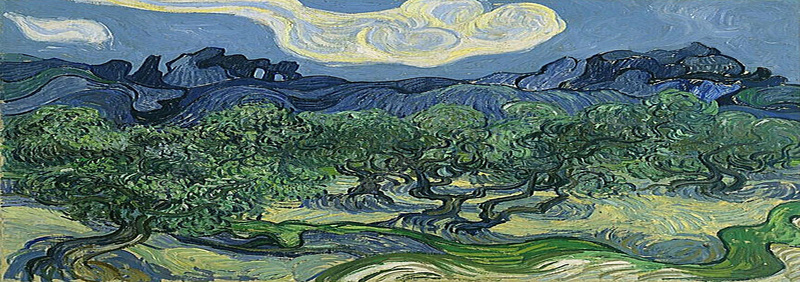 梵高笔下橄榄树jpg设计背景_新图网 https://ixintu.com 绿色 橄榄树 天空 云朵 海报banner 卡通 童趣 手绘