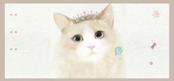 开心的小猫咪创意萌宠海报背景高清图片