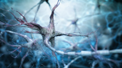 神经组织蓝色医疗神经元神经组织背景素材高清图片