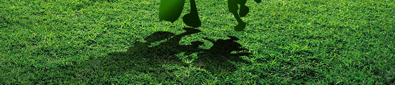 绿色模板装修活动广告背景素材psd设计背景_新图网 https://ixintu.com 装饰海报 装饰公司 家装公司 装饰广告 装饰装修 装饰店面 装修活动 绿色模板 绿色装修 海报背景 开心